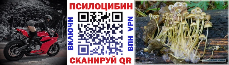 Псилоцибиновые грибы мицелий  Пролетарск 